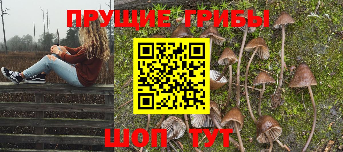 Псилоцибиновые грибы GOLDEN TEACHER Городец