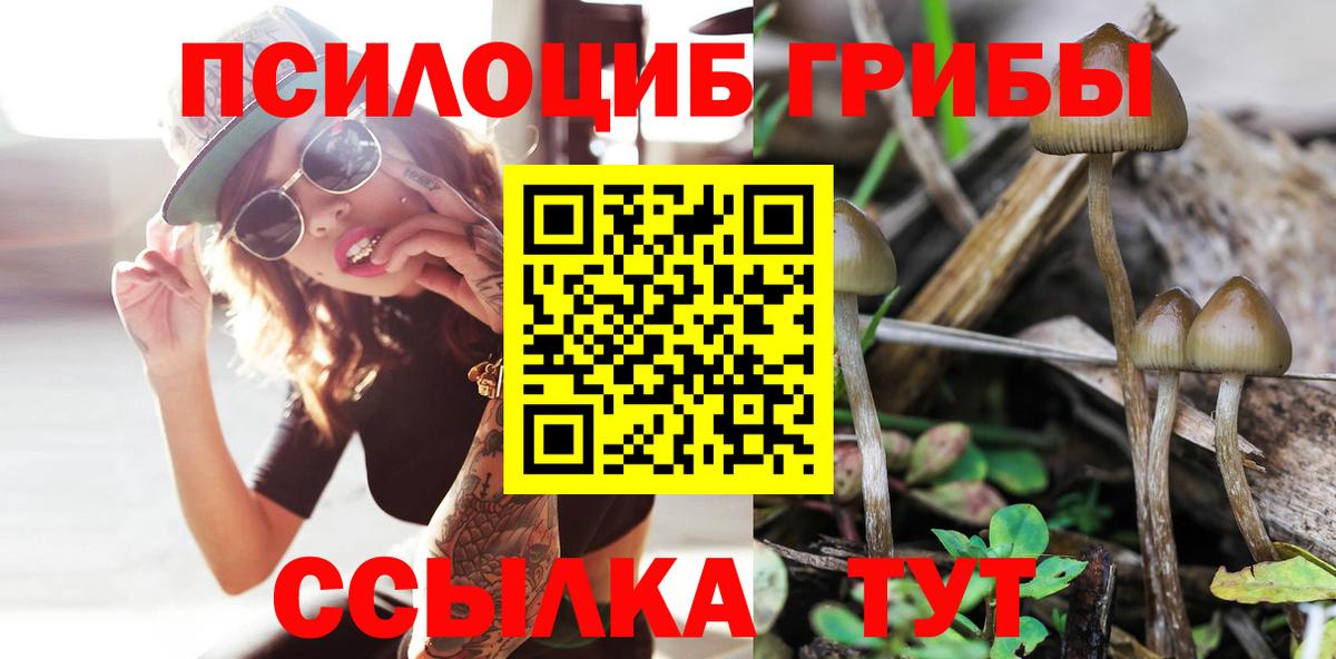 Галлюциногенные грибы ЛСД  Вход с VPN  Городец  Псилоцибиновые грибы Magic Shrooms 